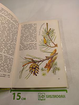 Войди в зелёный мир