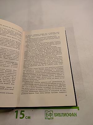 Дерзкий рейд