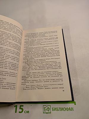 Дерзкий рейд