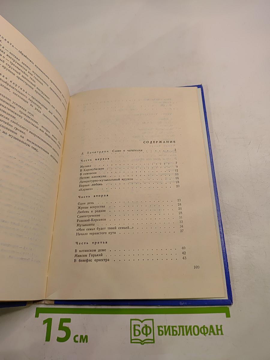 Жизнь музыканта