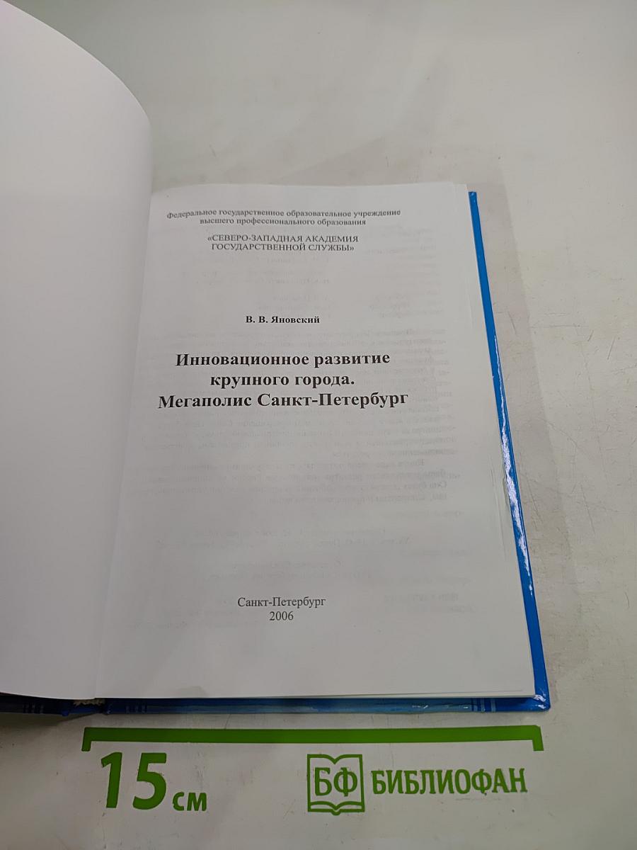 Инновационное развитие крупного города. Мегаполис Санкт-Петербург