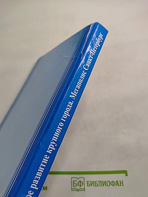 Инновационное развитие крупного города. Мегаполис Санкт-Петербург