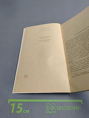 Люди в джунглях