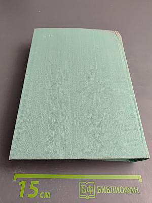 Русская поэзия XIX века