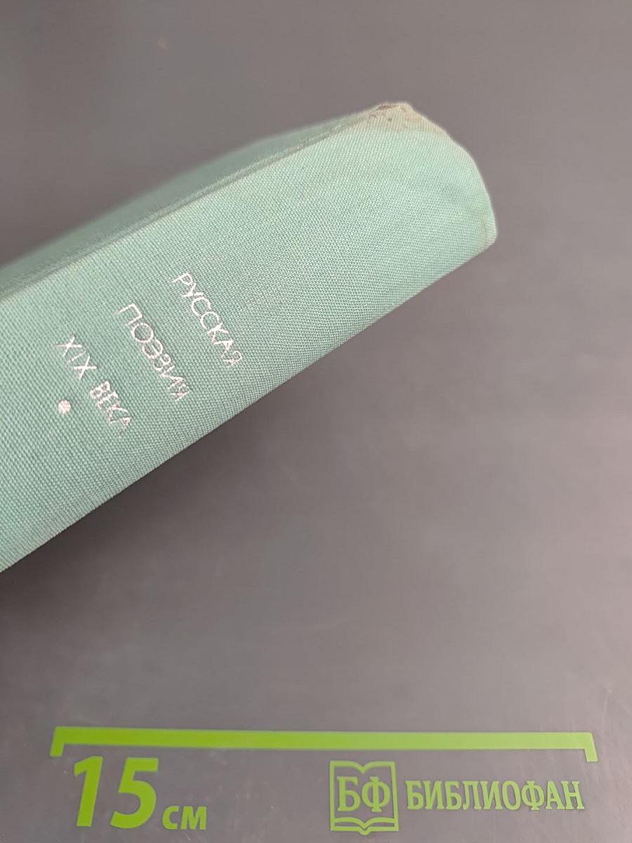 Русская поэзия XIX века