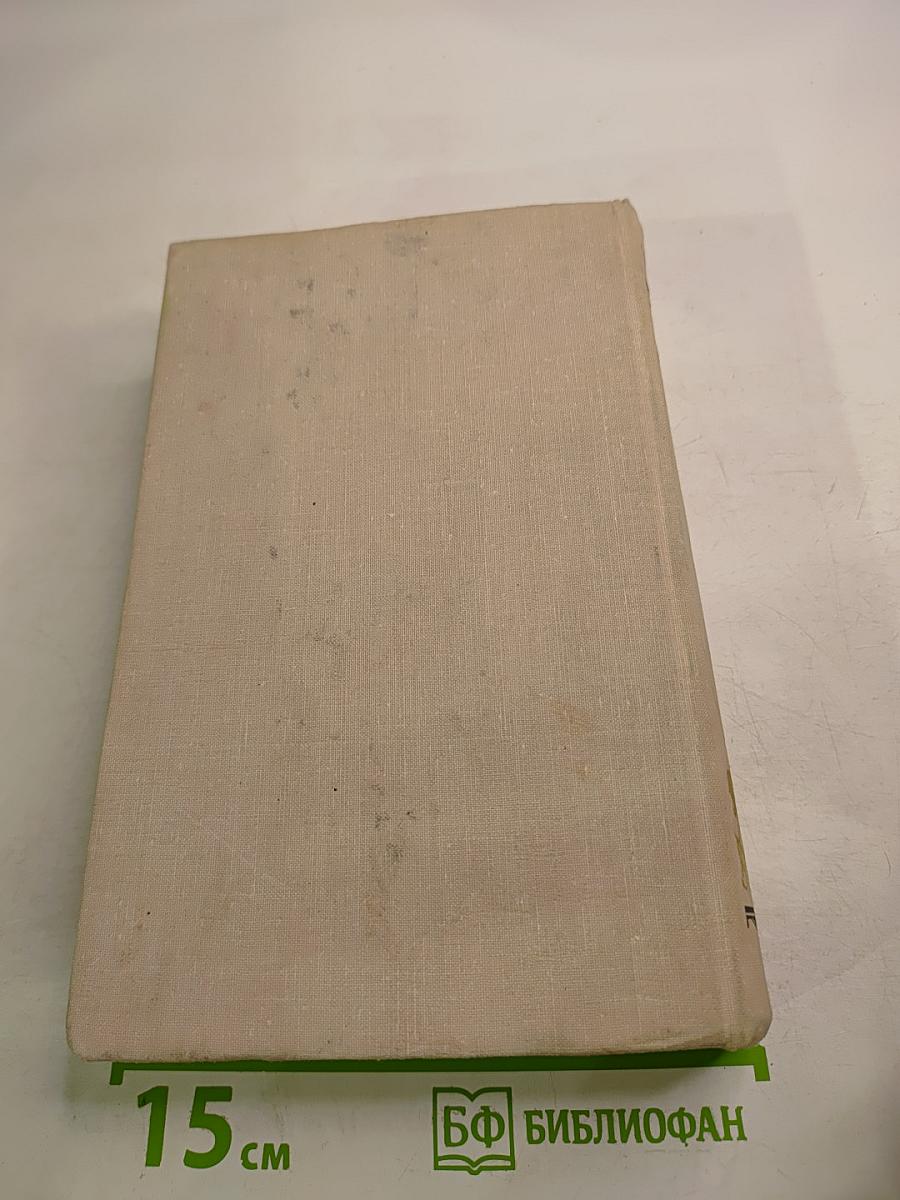 Виконт де Бражелон, или Десять лет спустя. Части 5, 6. Том III