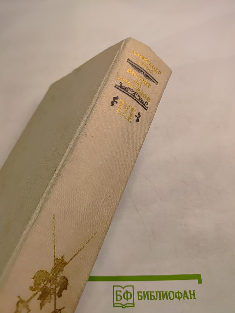 Виконт де Бражелон, или Десять лет спустя. Части 5, 6. Том III