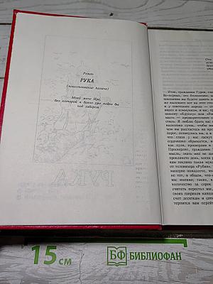 Избранное