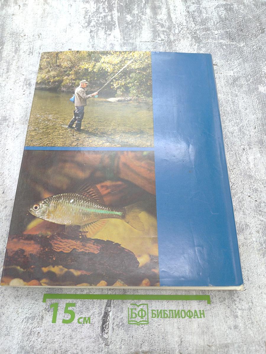 О рыбах и рыбаках