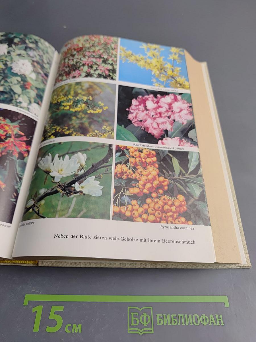 Rat für jeden Gartentag