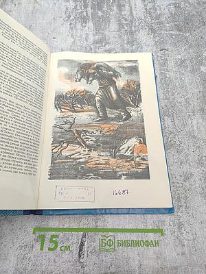 Путь в Колу