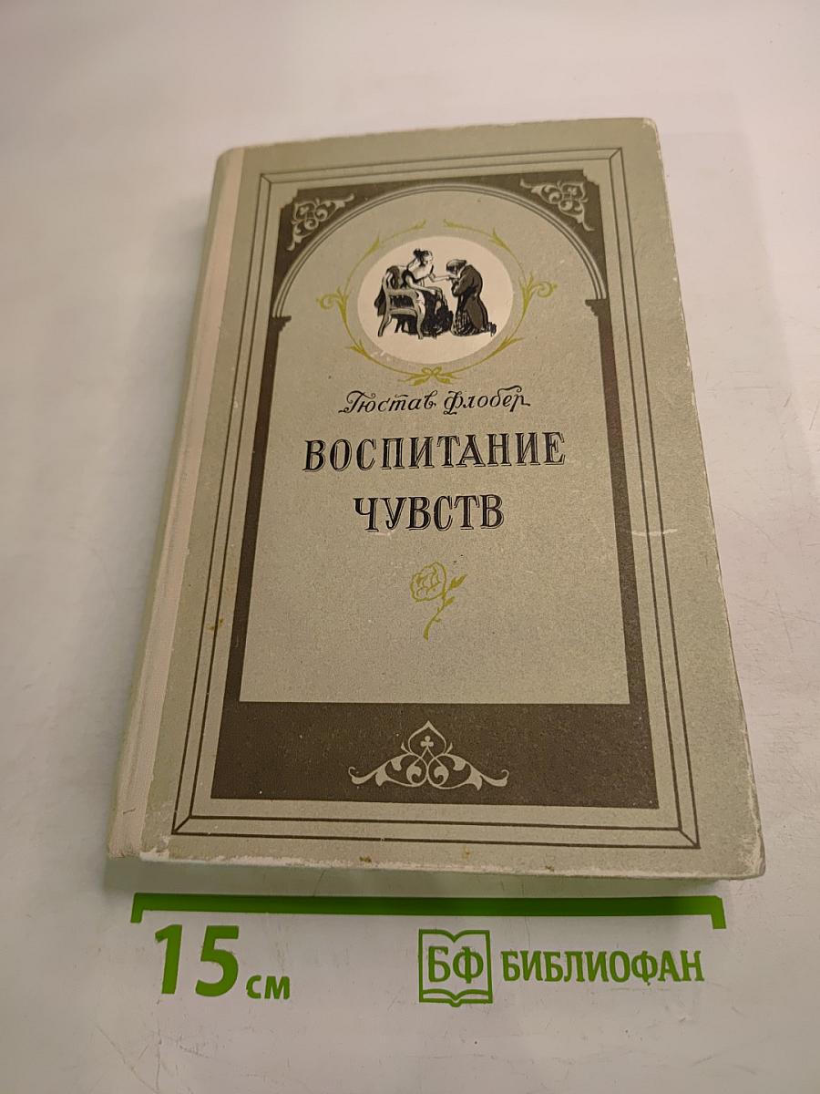 Воспитание чувств. История одного молодого человека
