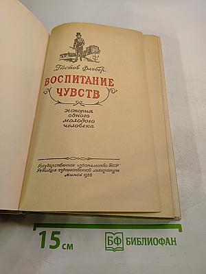Воспитание чувств. История одного молодого человека