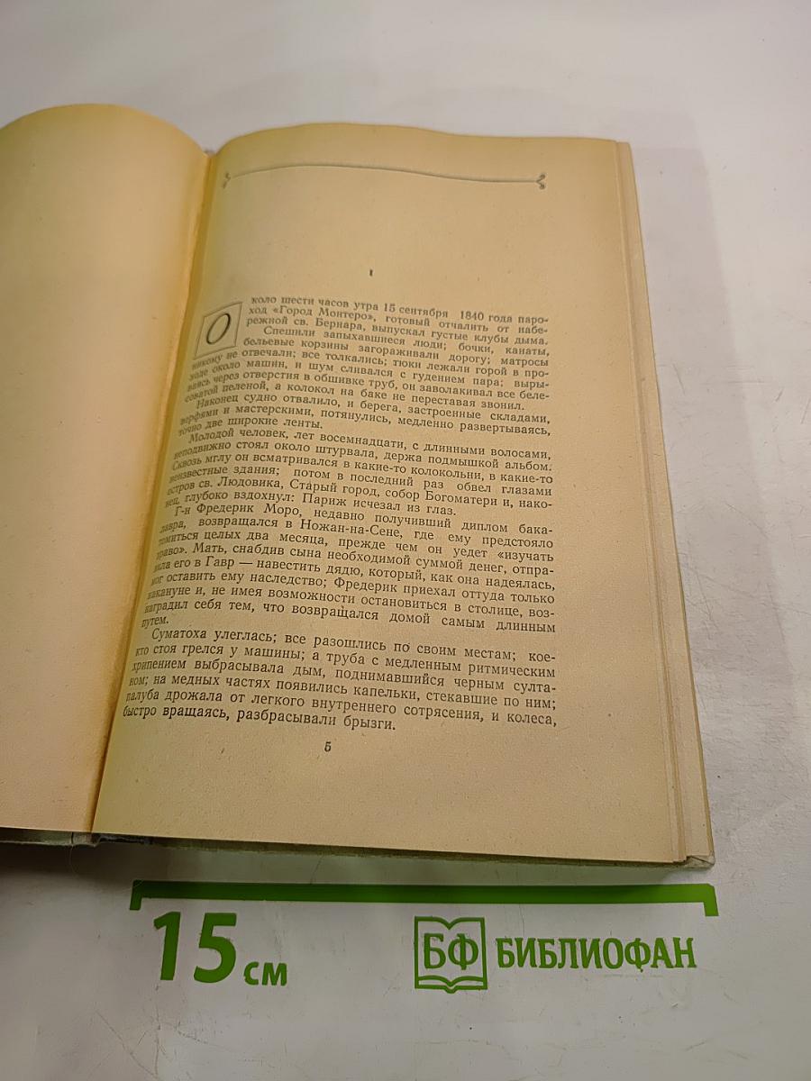 Воспитание чувств. История одного молодого человека