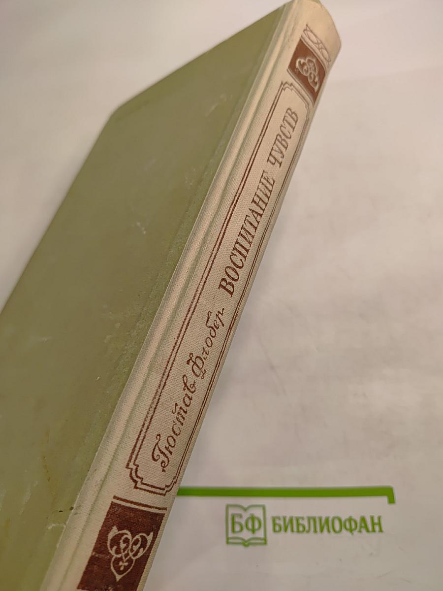 Воспитание чувств. История одного молодого человека