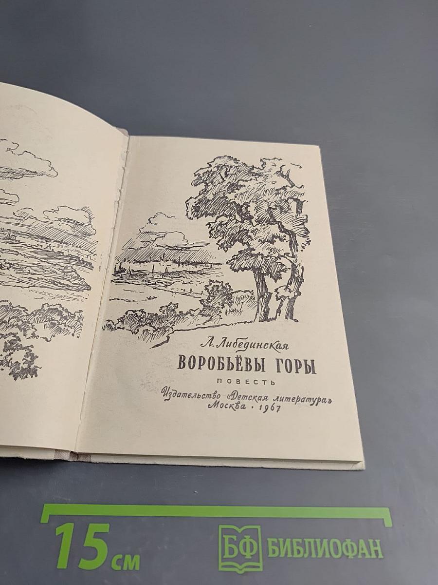 Воробьевы горы