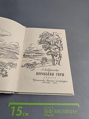 Воробьевы горы