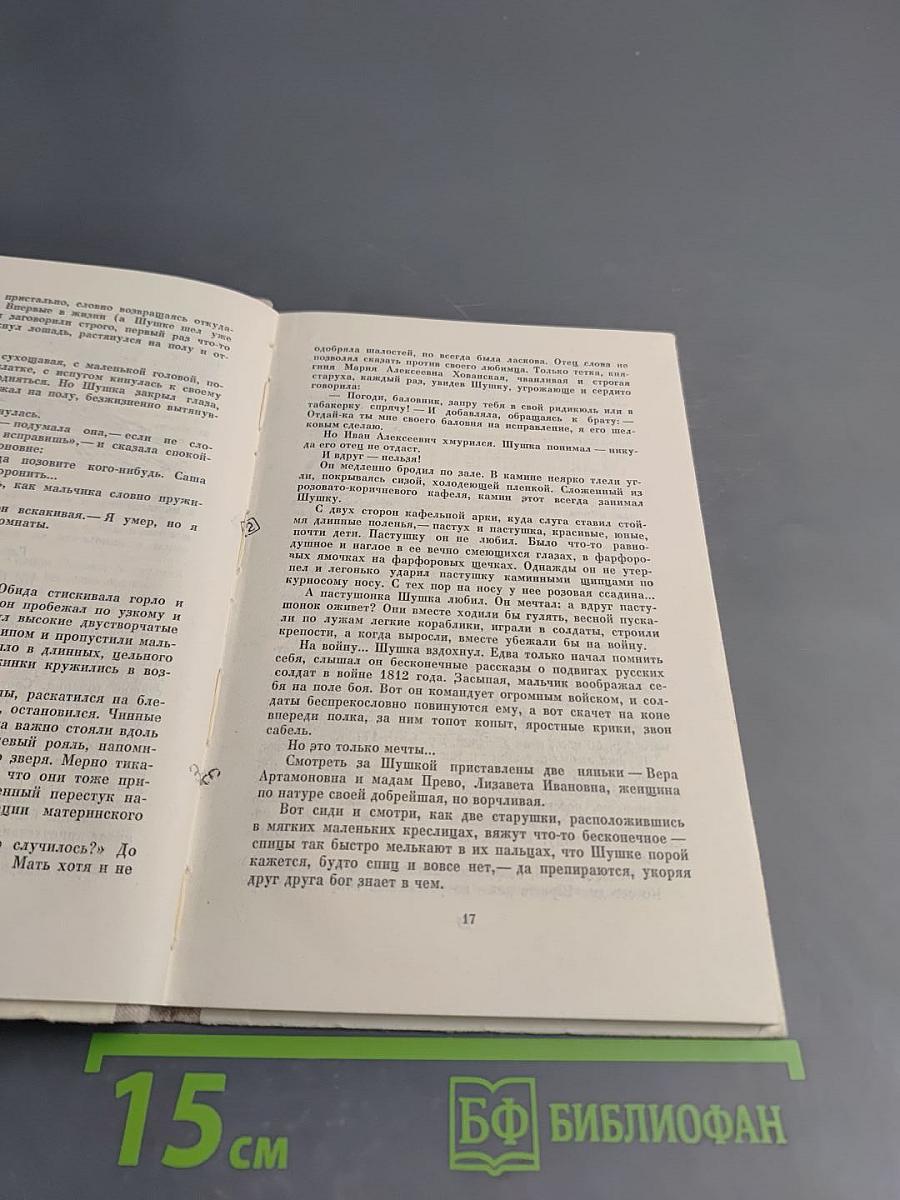 Воробьевы горы