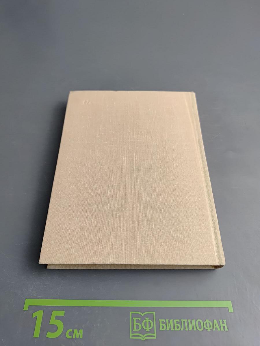 Стихотворения и поэмы. Том второй