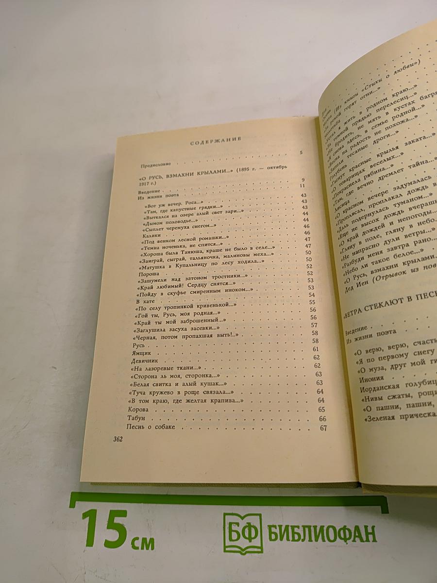 Плеск голубого ливня