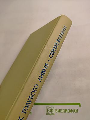 Плеск голубого ливня