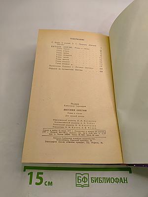 Евгений Онегин