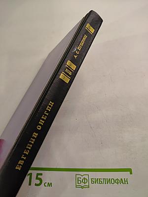 Евгений Онегин