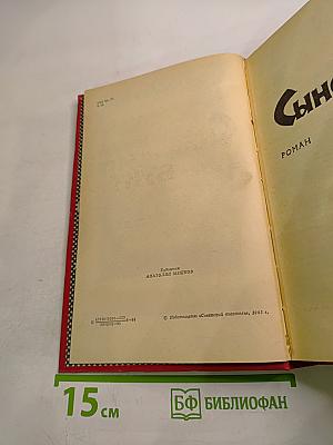 Сыновний бунт. Как жить?