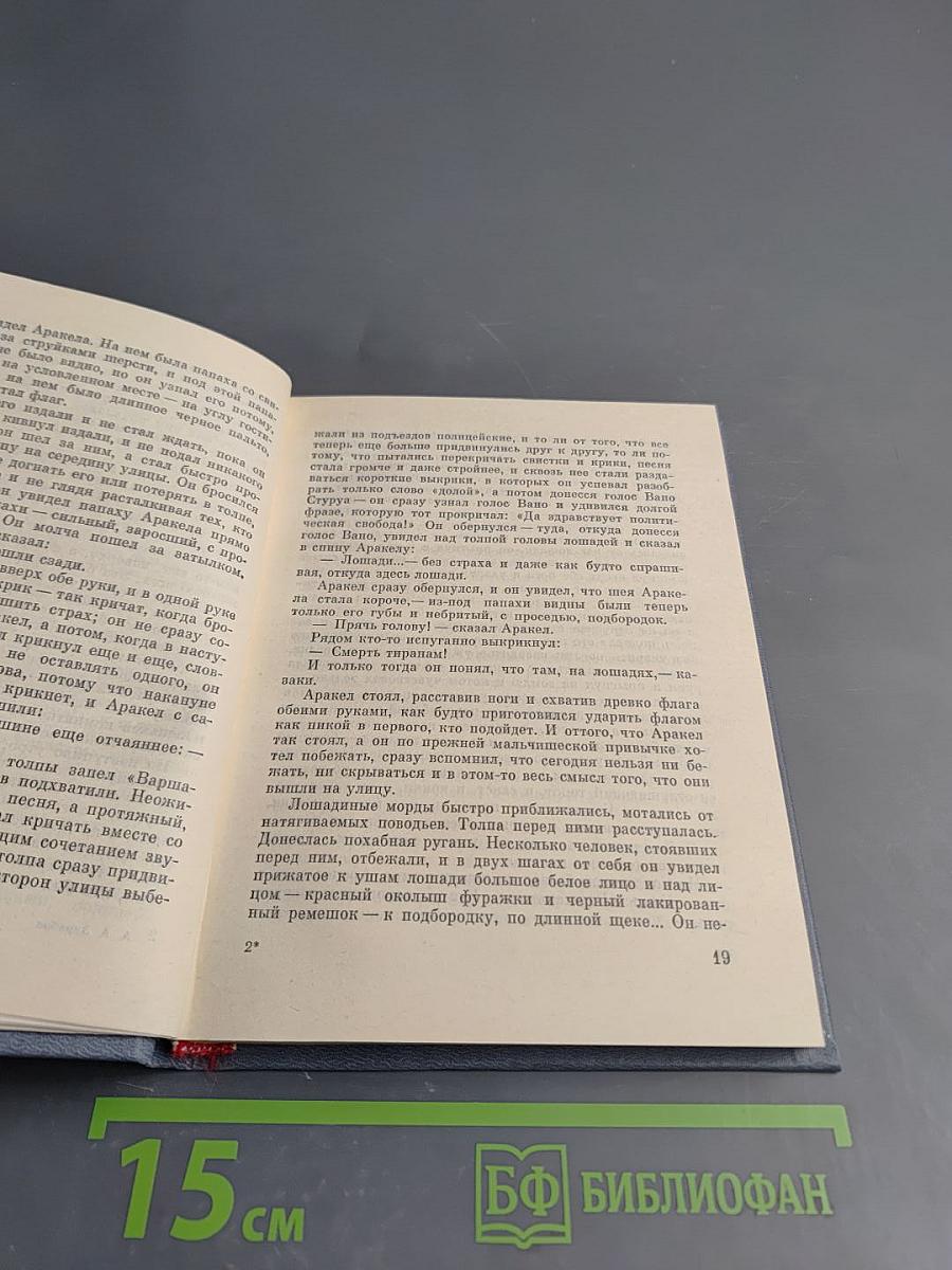 Тетрадь для домашних занятий. Повесть о Сесене Тер-Петросяне (Камо)