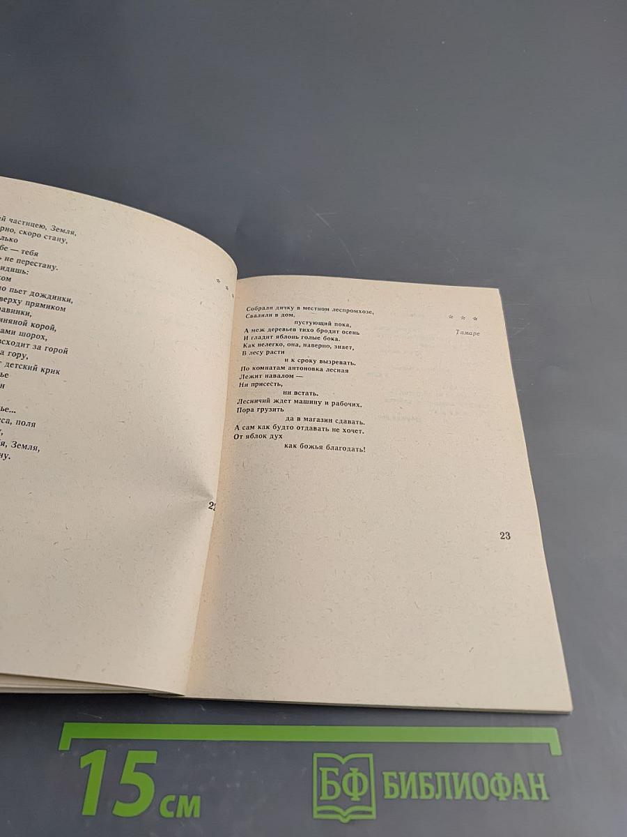 Калина-Ягода