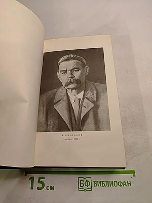 М. Горький. Собрание художественных произведений. Том девятнадцатый: Пьесы, сценарии, драматические наброски 1917-1935