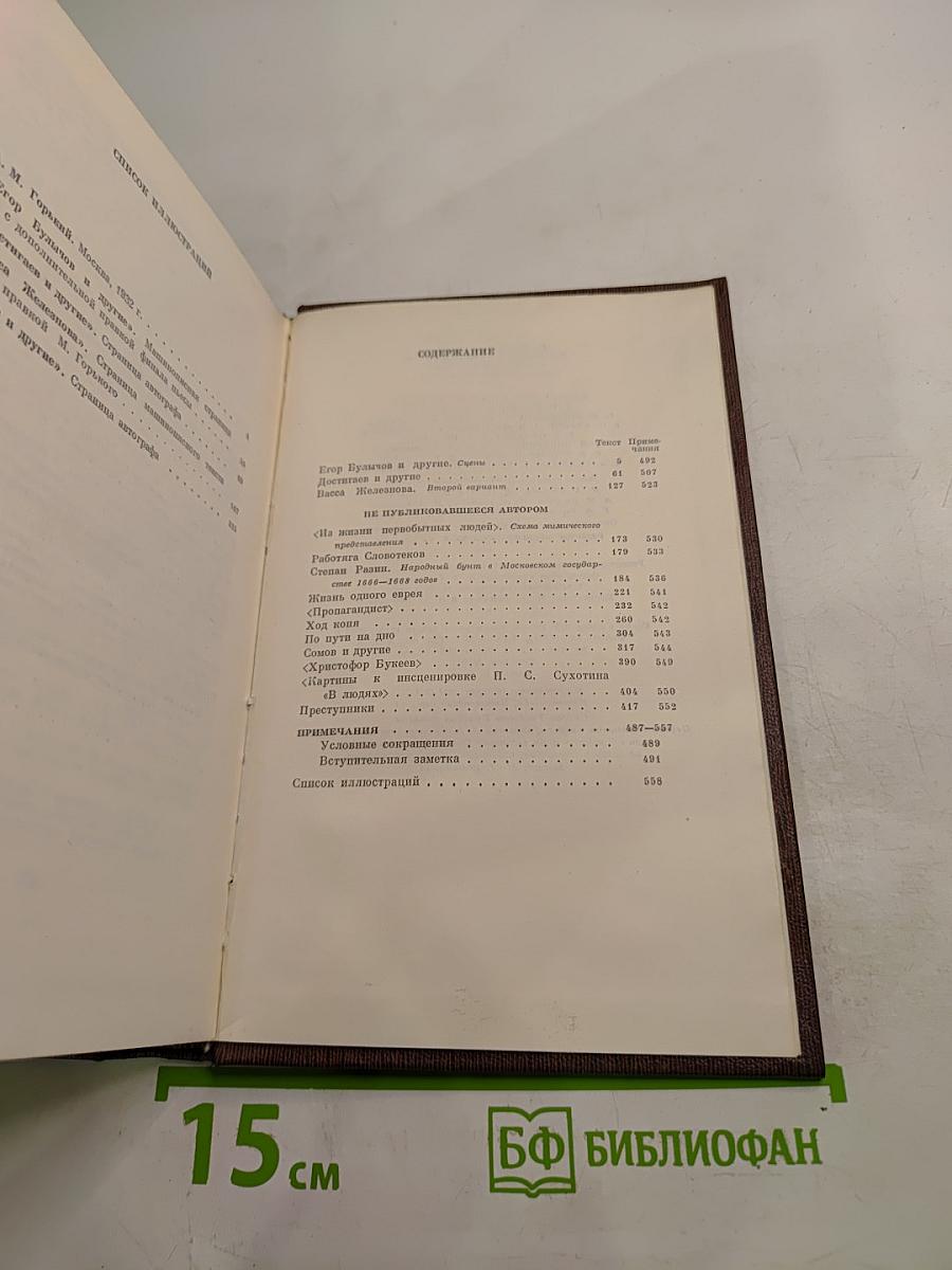 М. Горький. Собрание художественных произведений. Том девятнадцатый: Пьесы, сценарии, драматические наброски 1917-1935