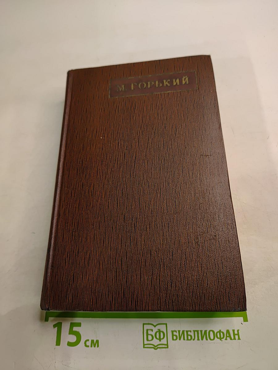 Собрание сочинений. Том четвертый. «Фома Гордеев», Рассказы, Очерки, Наброски, Стихи. 1897–1899