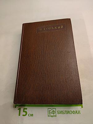 Собрание сочинений. Том четвертый. «Фома Гордеев», Рассказы, Очерки, Наброски, Стихи. 1897–1899