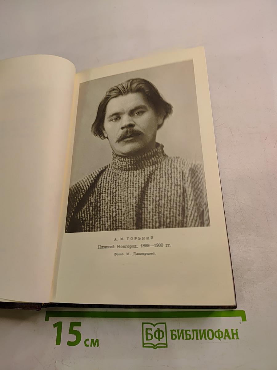 Собрание сочинений. Том четвертый. «Фома Гордеев», Рассказы, Очерки, Наброски, Стихи. 1897–1899