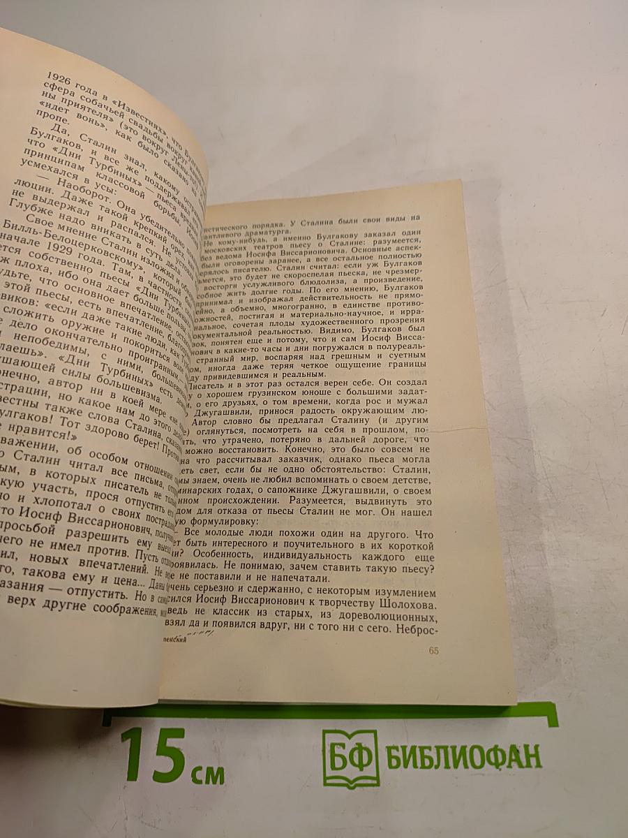Тайный советник вождя. Роман. Книга 2-я