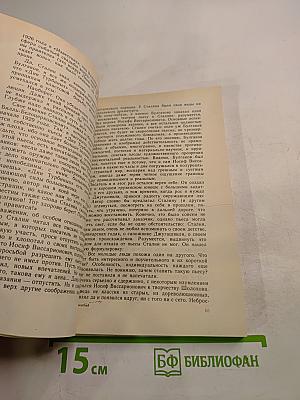 Тайный советник вождя. Роман. Книга 2-я