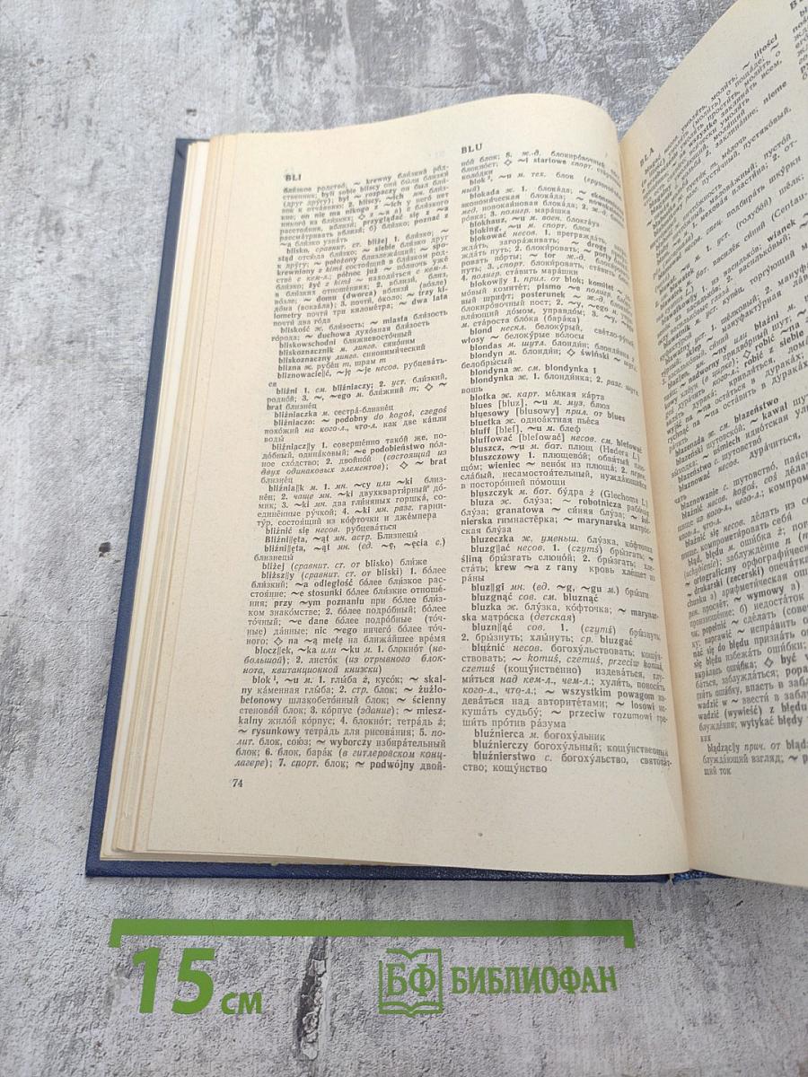 Большой польско-русский словарь. Том I: А-О