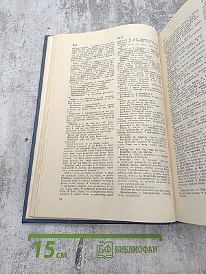 Большой польско-русский словарь. Том I: А-О