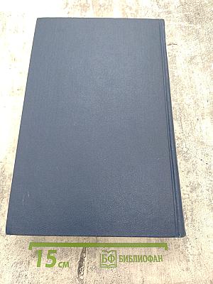 Большой польско-русский словарь. Том I: А-О