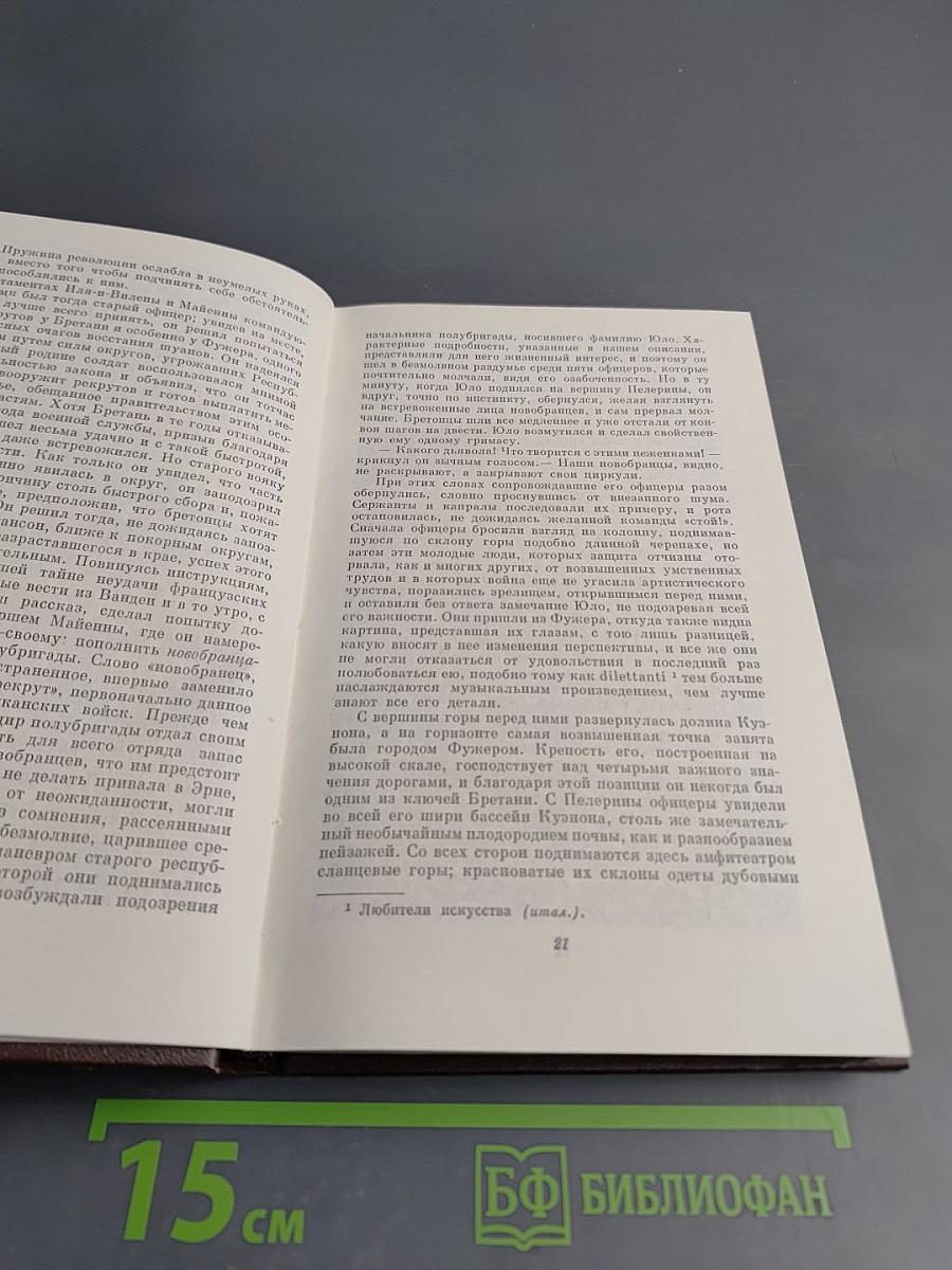 Шуаны, или Бретань в 1799 году