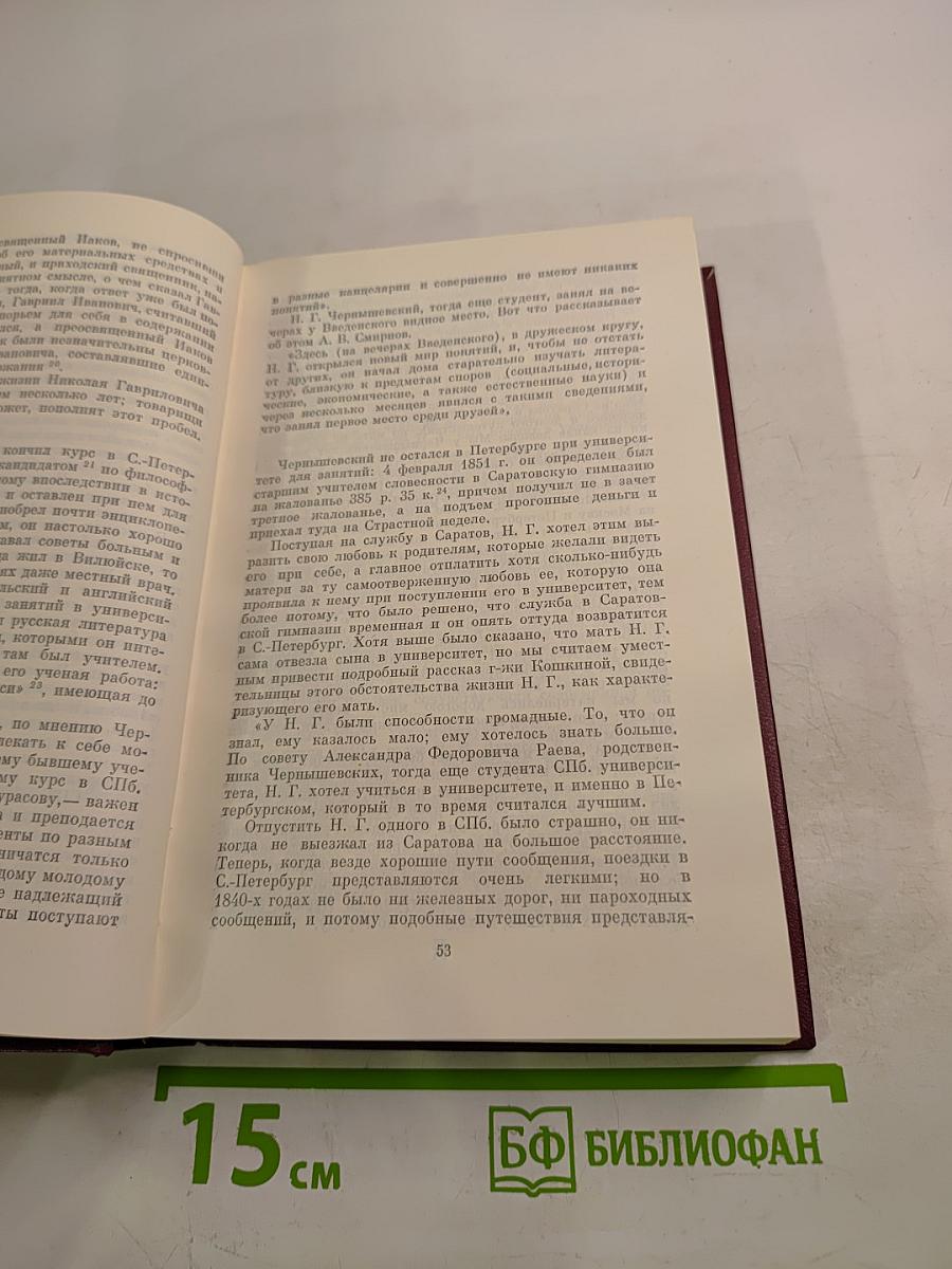 Н. Г. Чернышевский в воспоминаниях современников