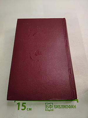 Н. Г. Чернышевский в воспоминаниях современников