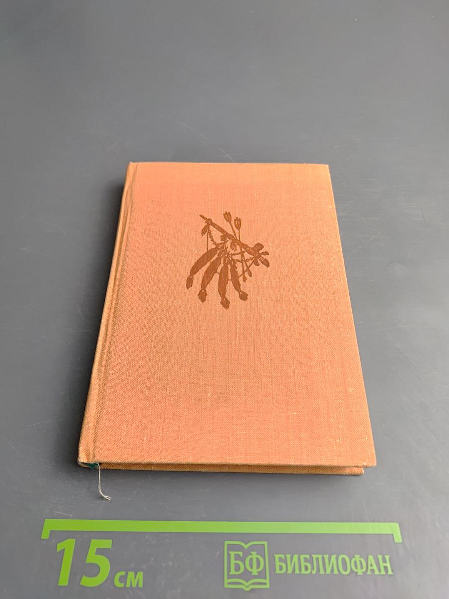 Песнь о Гайавате