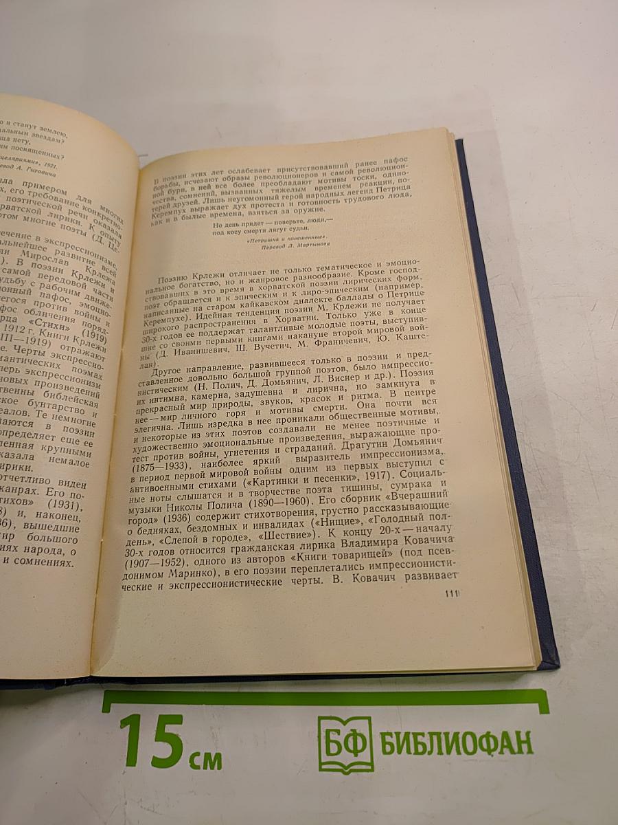 Зарубежные славянские литературы. XX век