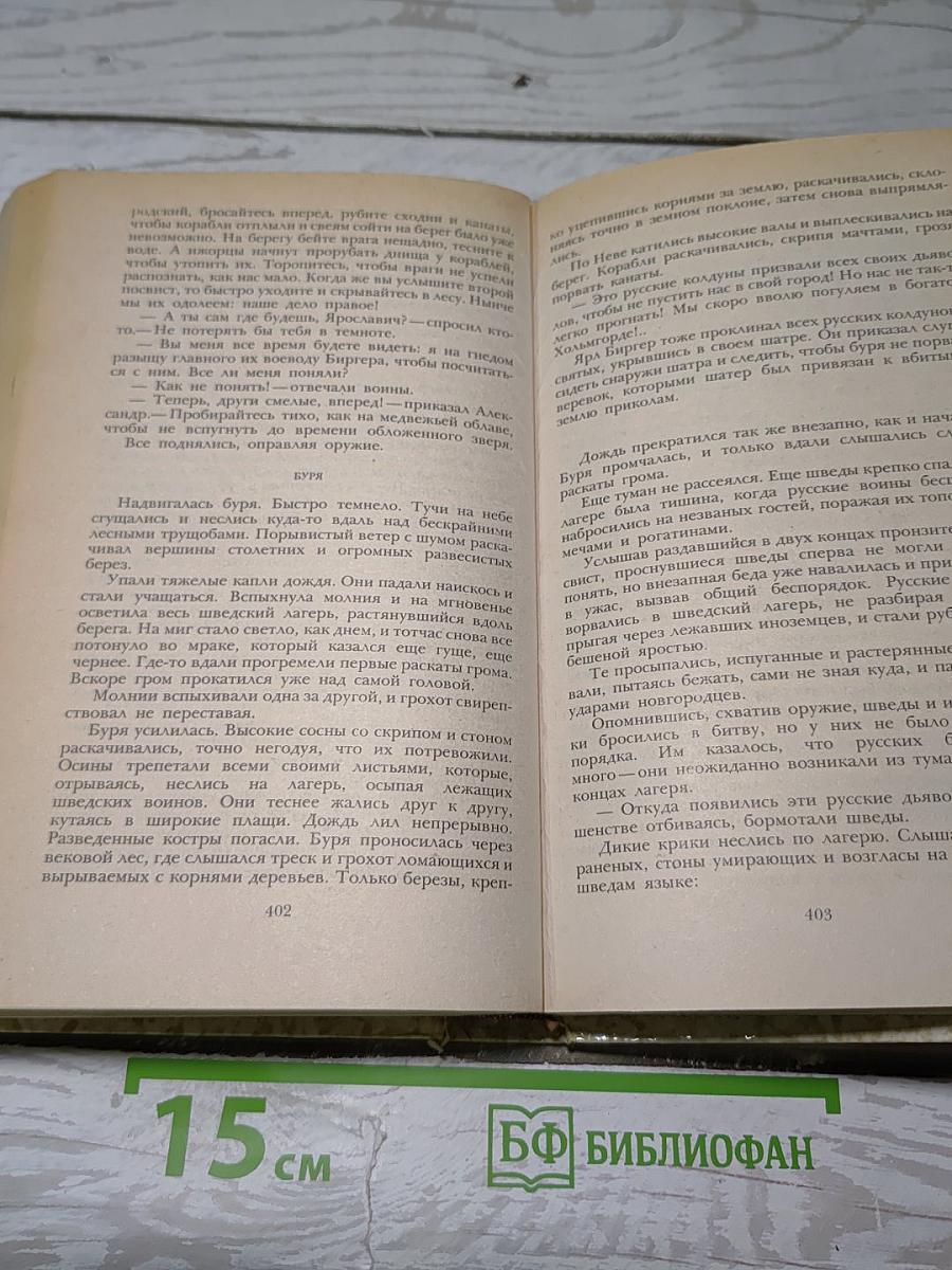 К последнему морю. Юность полководца
