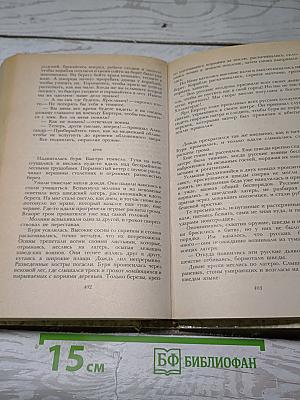 К последнему морю. Юность полководца