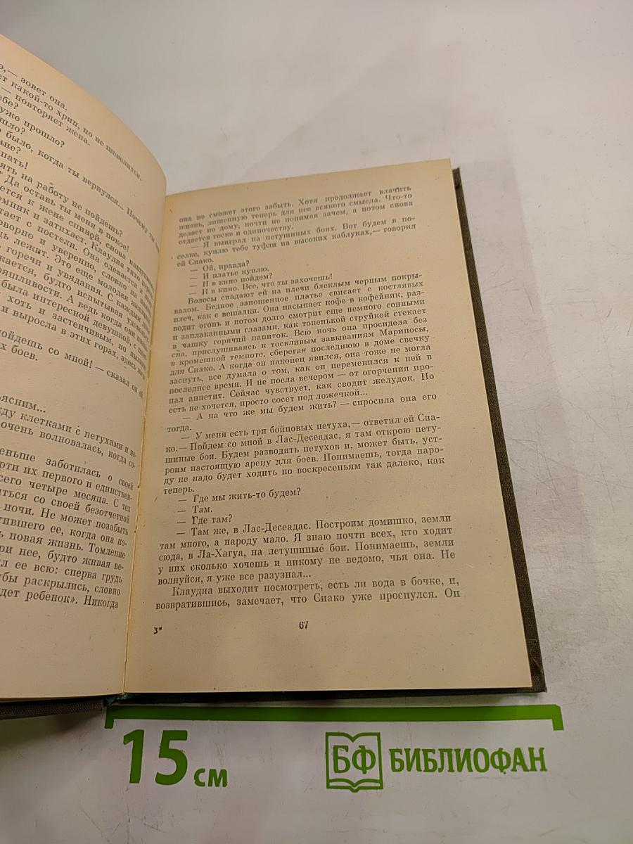 Последняя женщина и близкий бой. Рассеять мглу