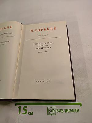 Собрание сочинений. Том шестой: Рассказы, очерки, наброски, стихотворения 1901-1907