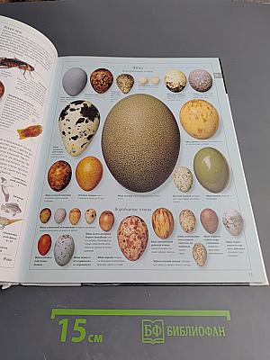 Иллюстрированная Семейная Энциклопедия. Том 16. Ю-Я